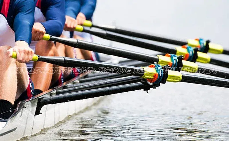 3377体育app官方网站百度数据开放平台深圳职业足球运动员数量统计: 现有多少名职业球员在深圳从事足球运动?