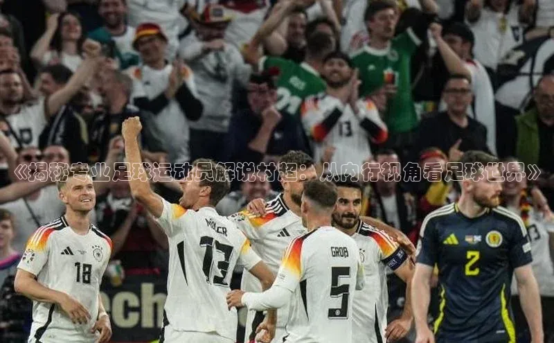 3377体育百度人工翻译《揭秘专业足球运动员解说村超：从内行视角看足球世界》