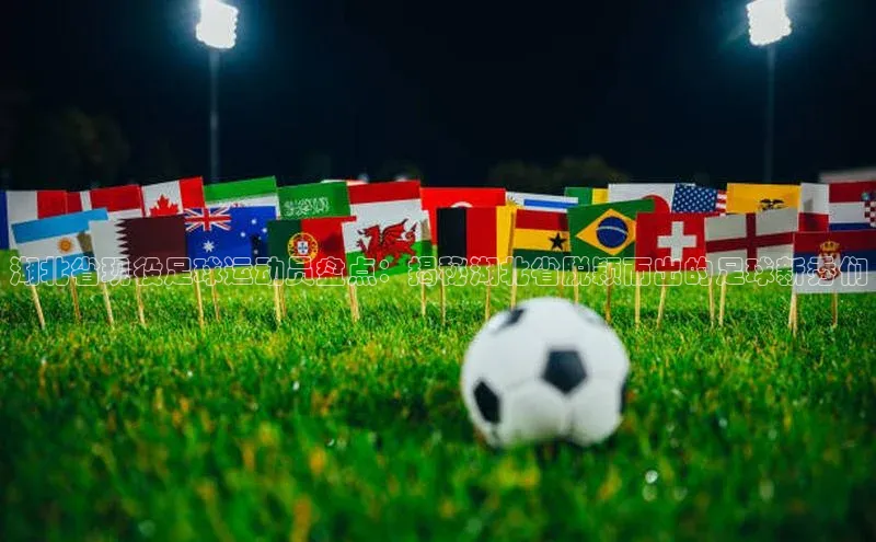 3377体育网站入口下载同程湖北省现役足球运动员盘点：揭秘湖北省脱颖而出的足球新秀们