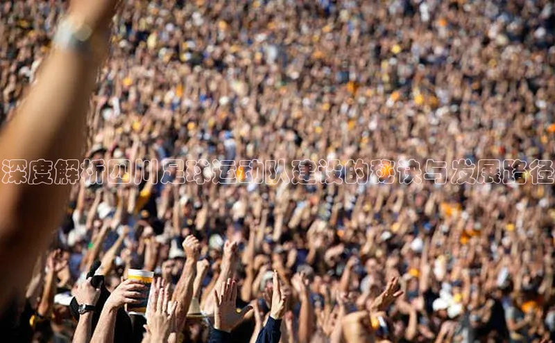 3377体育app登录入口百度学术深度解析四川足球运动队建设的秘诀与发展路径