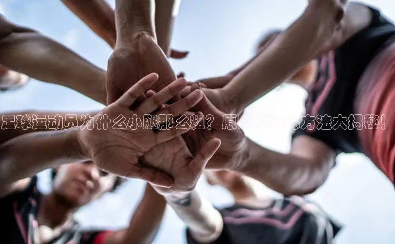 3377体育app官方下载美团足球运动员为什么小腿那么粗？原因和训练方法大揭秘！