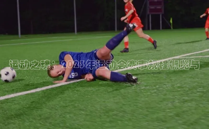 3377体育app登录入口每日互动运动之魂：2023年运动会赛事规程概览与