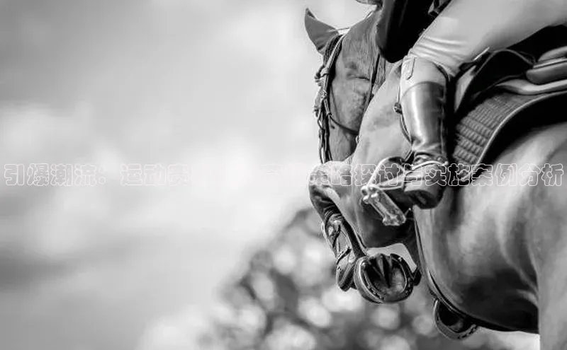 3377体育官方在线登录入口网易引爆潮流：运动赛事品牌营销策略探讨与实施案例分析