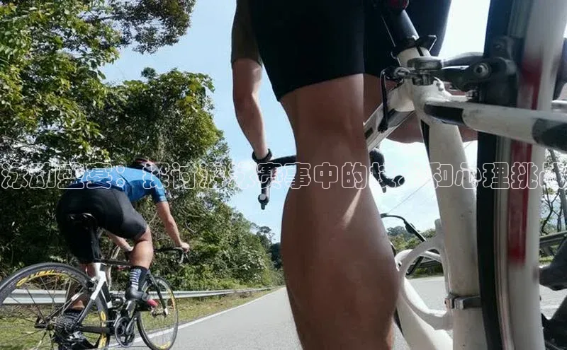 3377体育app官网下载地址