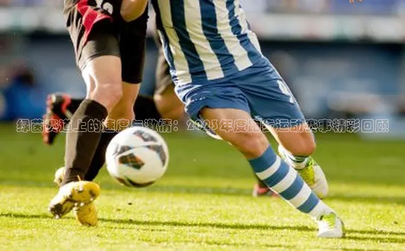 绿茵赛道上的速度与激情：2023年度跑步运动赛事精彩回顾