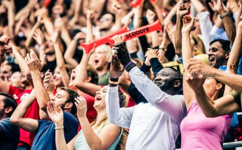 极限运动赛事中的顶级高手：从<极限运动赛事大神>看顶级技能与心态的结合