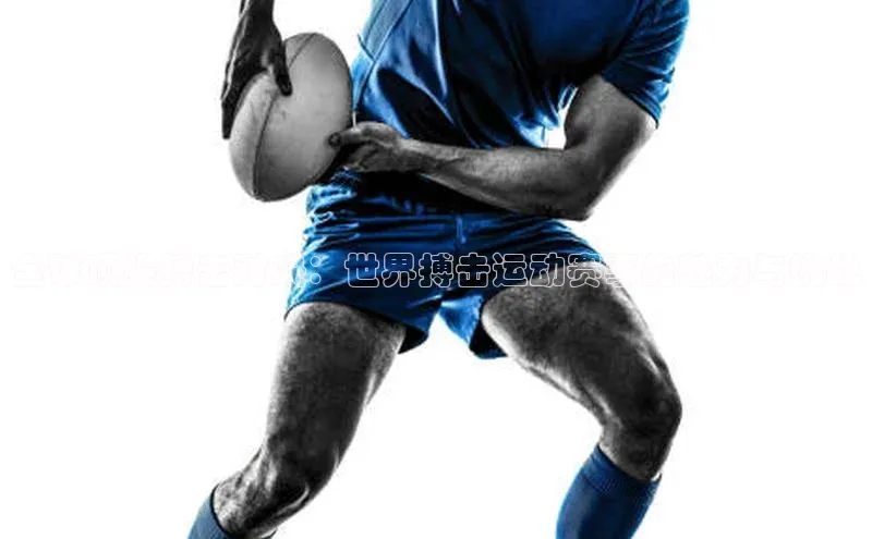 全球顶尖搏击对决：世界搏击运动赛事的魅力与挑战