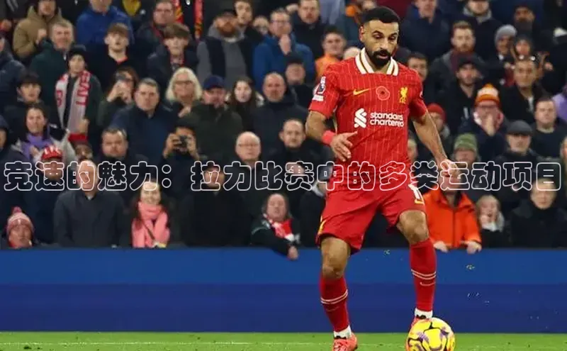 竞速的魅力：拉力比赛中的多类运动项目