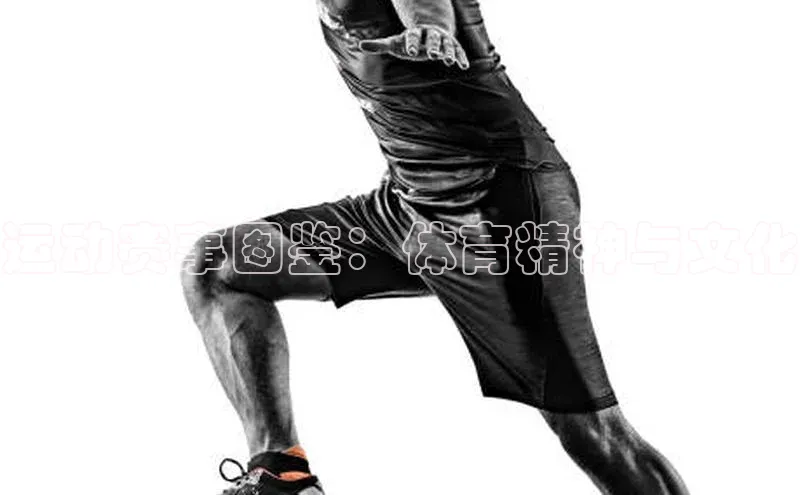 运动赛事图鉴：体育精神与文化