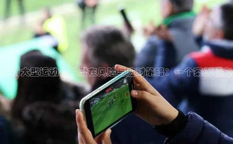 剖析大型运动会的潜在风险与应对策略：一个案例研究