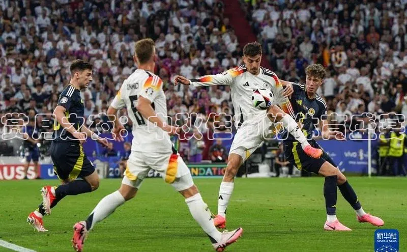 赏月之夜：中秋佳节的体育盛宴