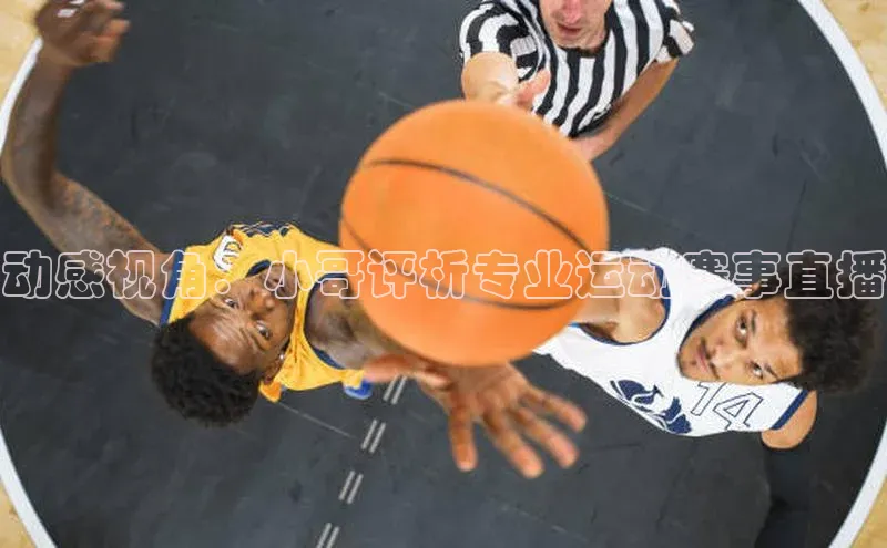 动感视角：小哥评析专业运动赛事直播