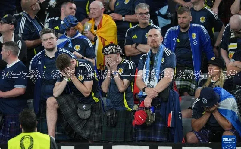 冰雪之翼：冬季运动的魅力——冬奥会冰球赛事与展望