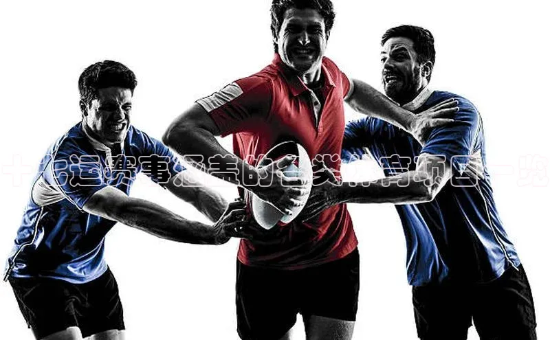 十七运赛事涵盖的各类体育项目一览