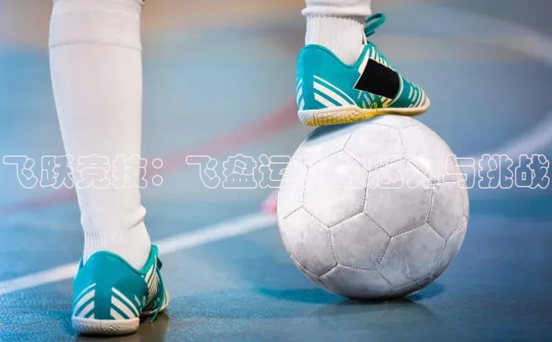 飞跃竞技：飞盘运动的魅力与挑战