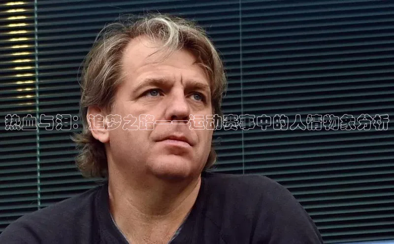 热血与泪：追梦之路——运动赛事中的人情物象分析