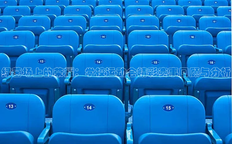 绿茵场上的荣耀：学校运动会精彩赛事回顾与分析