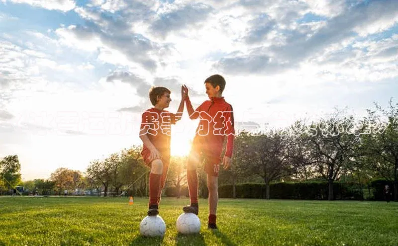 《冰雪运动赛事分级与分类标准》