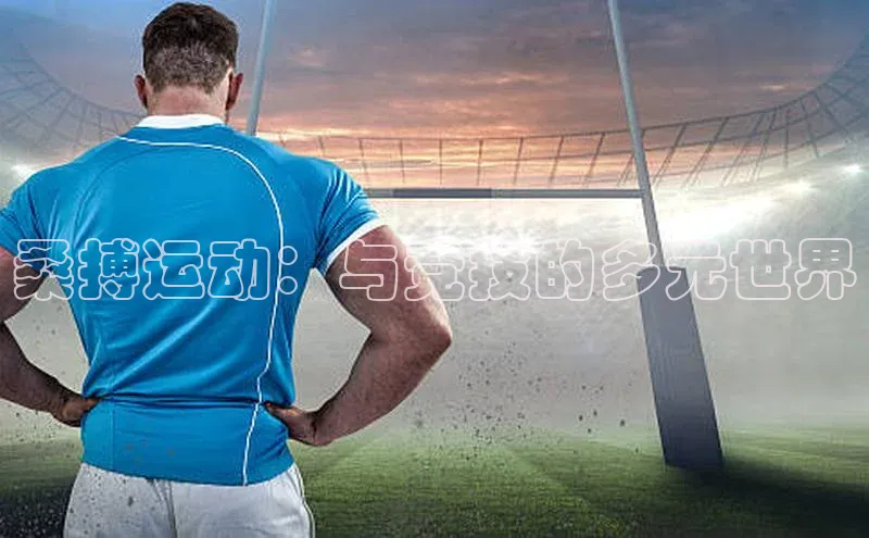 桑搏运动：与竞技的多元世界