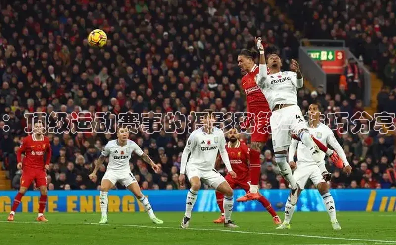 3377体育app官方下载