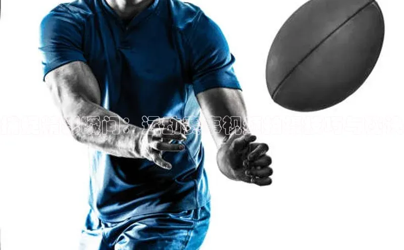 3377体育网站平台登录