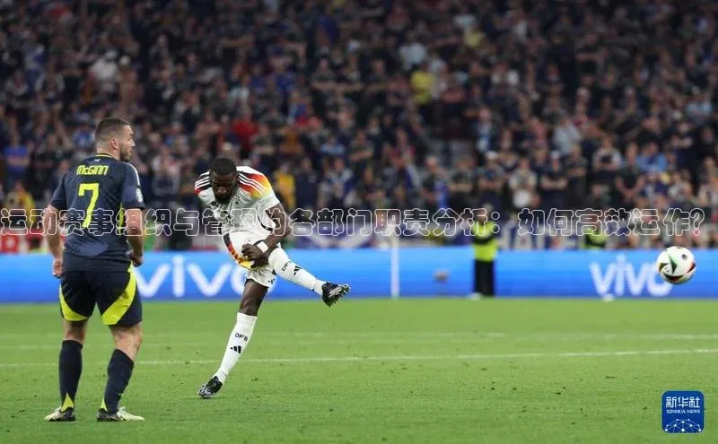 3377体育app官方网站