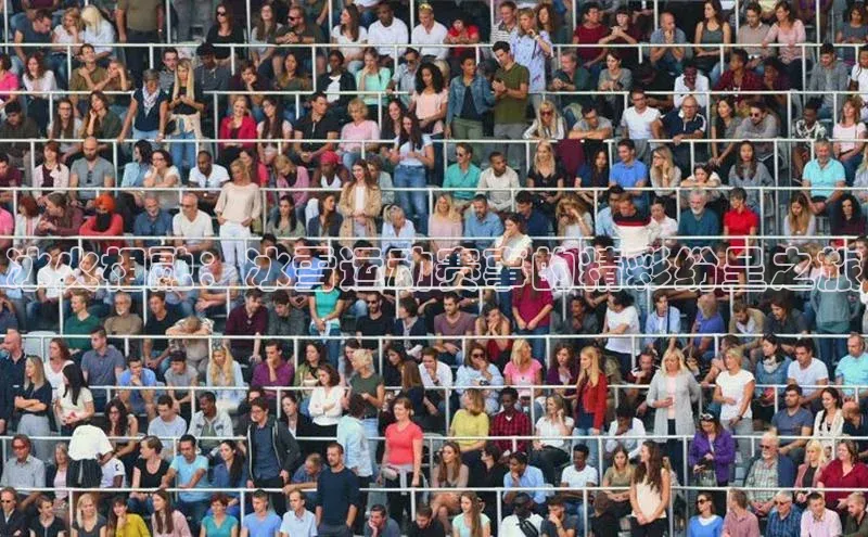 3377体育中国官方网站入口