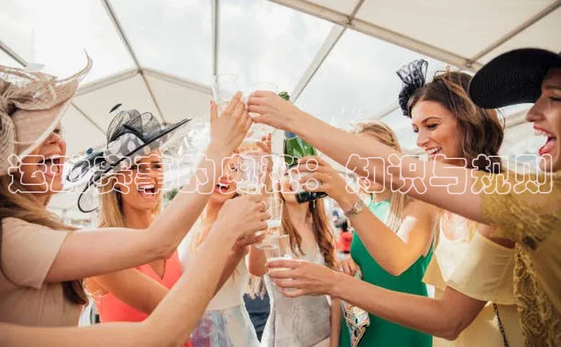 运动赛事的奥秘：知识与规则