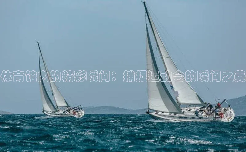 体育馆内的精彩瞬间：捕捉运动会的瞬间之美