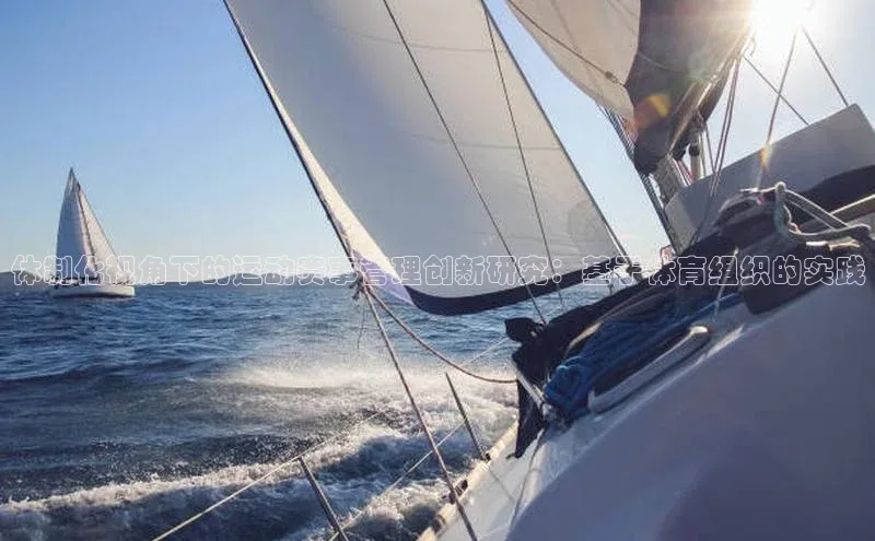 体制化视角下的运动赛事管理创新研究：基于体育组织的实践