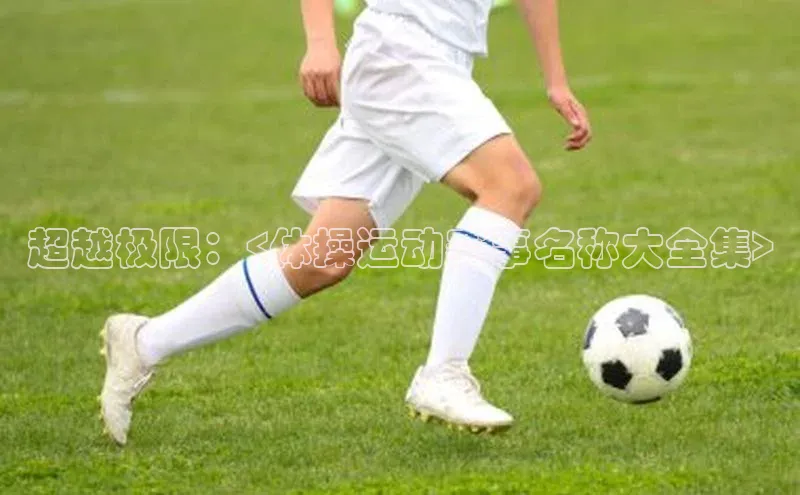 超越极限：<体操运动赛事名称大全集>